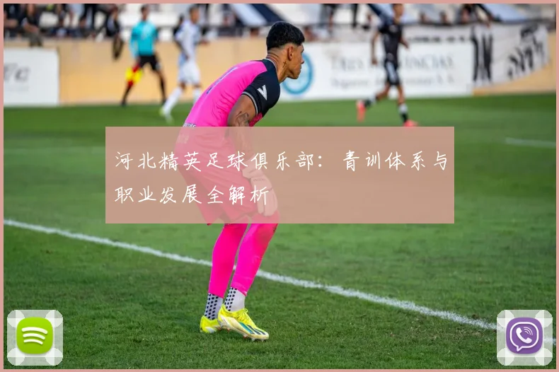 河北精英足球俱乐部：青训体系与职业发展全解析