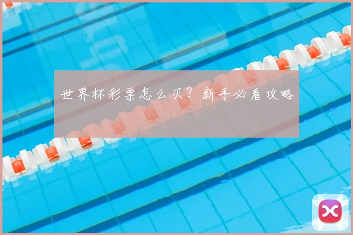 世界杯彩票怎么买？新手必看攻略