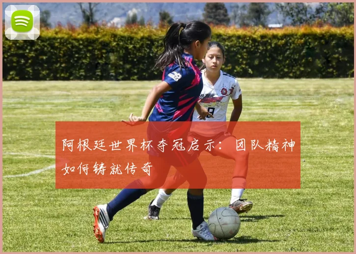阿根廷世界杯夺冠启示：团队精神如何铸就传奇