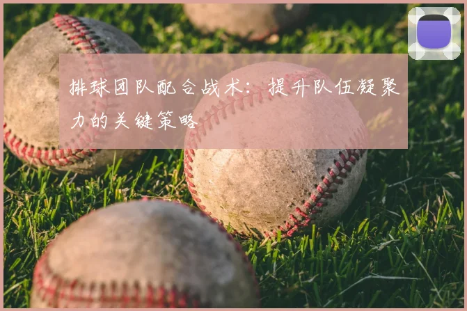 排球团队配合战术：提升队伍凝聚力的关键策略