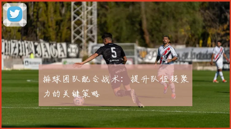 排球团队配合战术：提升队伍凝聚力的关键策略