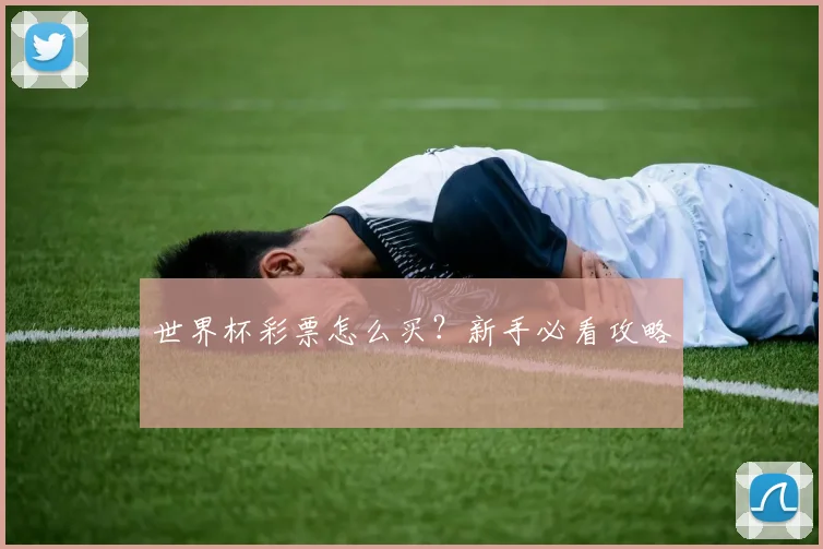 世界杯彩票怎么买？新手必看攻略